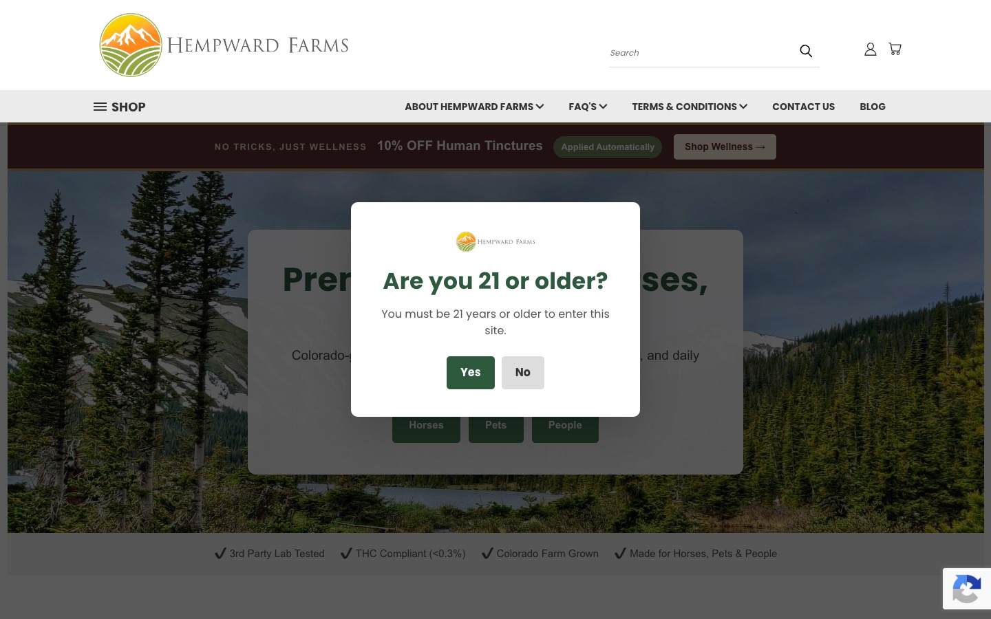 The current homepage